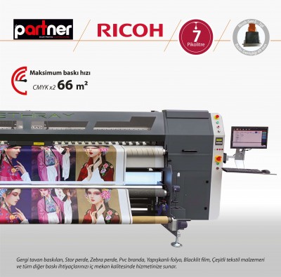 Partner Gethray Roll Uv